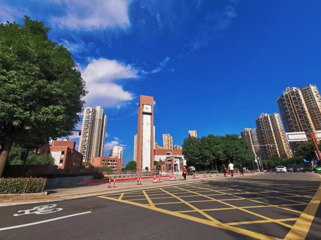 视频测试