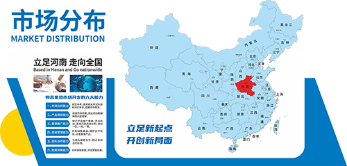 网站市场分布.jpg